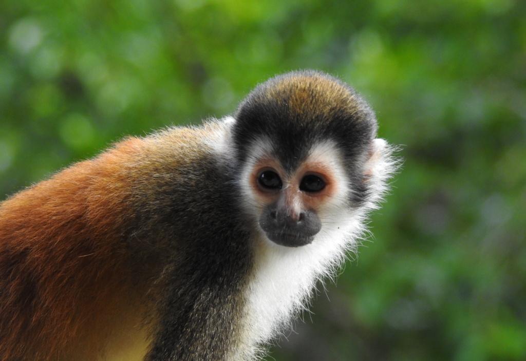 costa-rica-travel-tips-parents-with-passports
