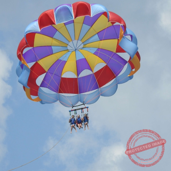 1DBA0F1E-4274-444B-8C3B-930B9C2D2FA9